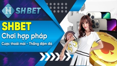 Shbet – trang cá cược đẳng cấp hàng đầu châu Á